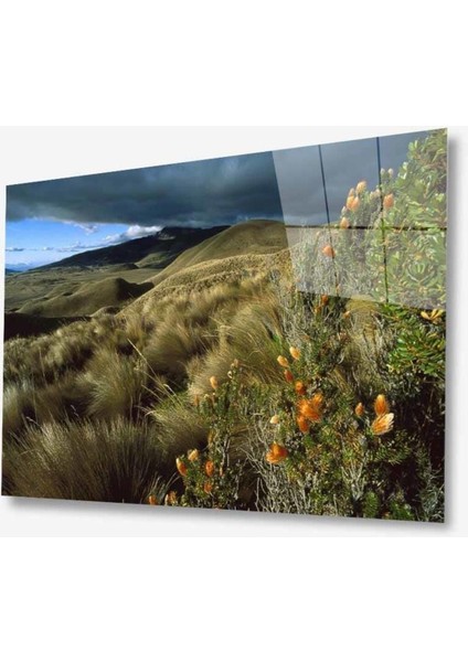 Manzara Doğa Cam Tablo 4mm Dayanıklı Temperli Cam