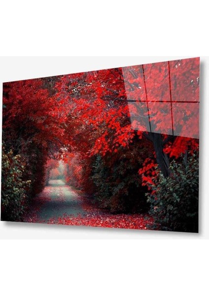 Doğa Cam Tablo 4mm Dayanıklı Temperli Cam