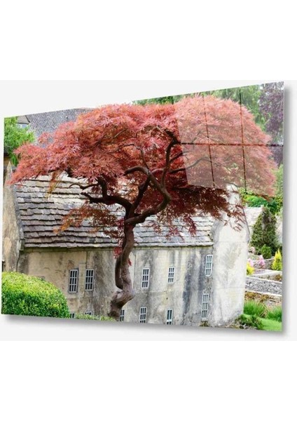 Doğa Cam Tablo 4mm Dayanıklı Temperli Cam