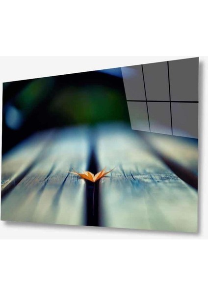 Doğa Cam Tablo 4mm Dayanıklı Temperli Cam