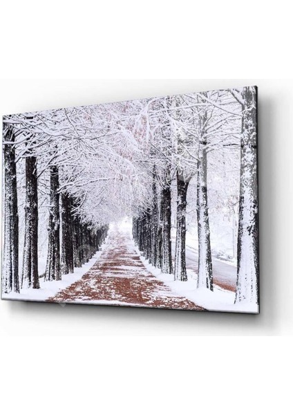 Kış Manzarası Doğa Cam Tablo 4mm Dayanıklı Temperli Cam