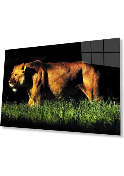 Aslan Cam Tablo 4mm Dayanıklı Temperli Cam