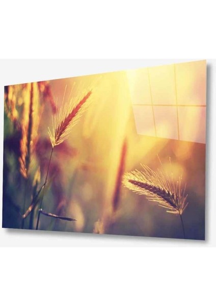 Doğa Cam Tablo 4mm Dayanıklı Temperli Cam