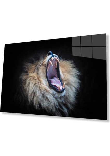 Aslan Cam Tablo 4mm Dayanıklı Temperli Cam