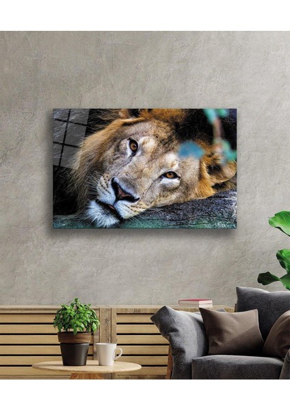 Aslan Cam Tablo 4mm Dayanıklı Temperli Cam fiyatları