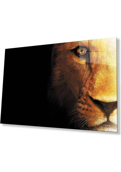 Aslan Cam Tablo 4mm Dayanıklı Temperli Cam