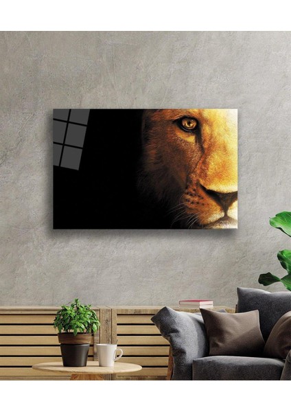 Aslan Cam Tablo 4mm Dayanıklı Temperli Cam fiyatları