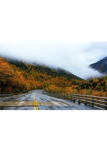 Doğa Cam Tablo 4mm Dayanıklı Temperli Cam fiyatları