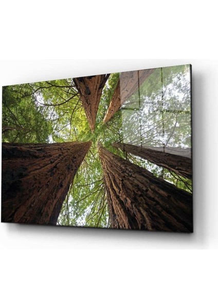 Doğa Temperli Cam Tablo
