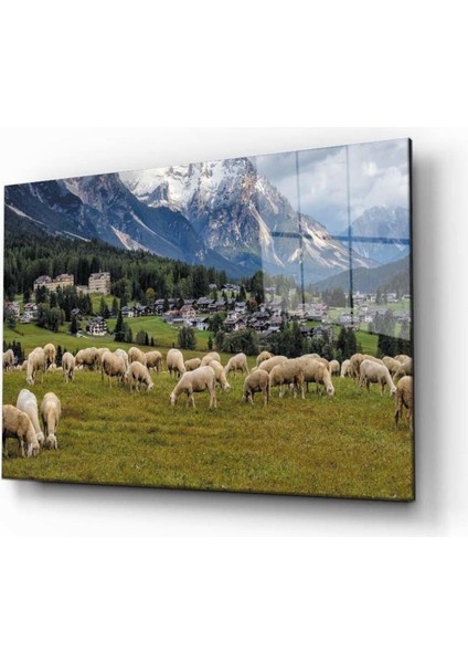 Doğa Temperli Cam Tablo