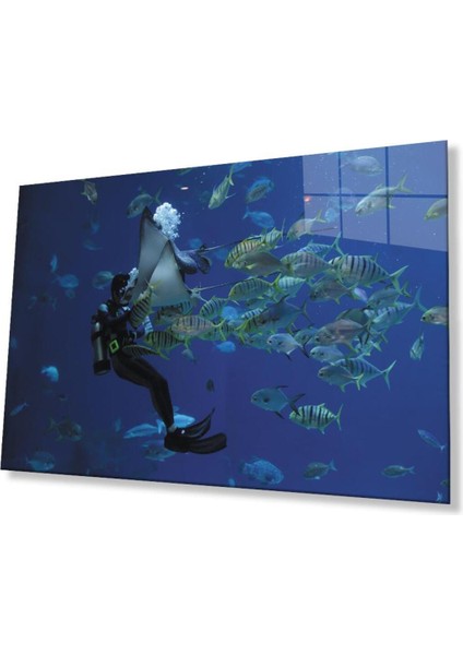 Dalgıç Balık Sualtı Cam Tablo 4mm Dayanıklı Temperli Cam Diver Fish Underwater Glass Wall Art
