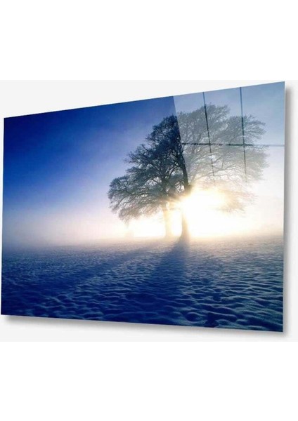 Doğa Cam Tablo 4mm Dayanıklı Temperli Cam