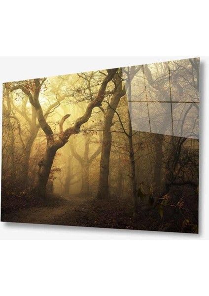 Doğa Cam Tablo 4mm Dayanıklı Temperli Cam