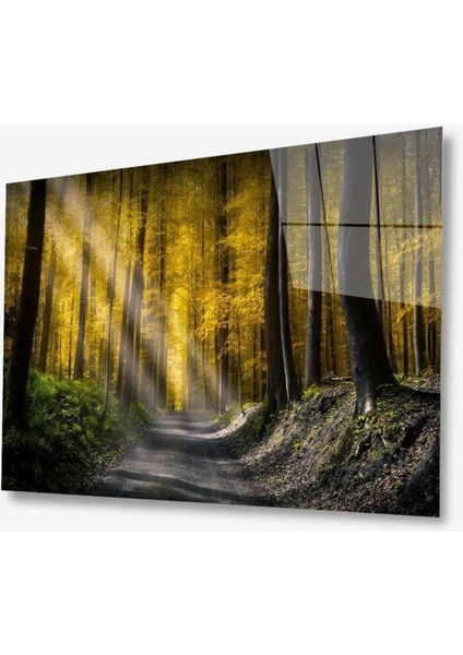 Doğa Cam Tablo 4mm Dayanıklı Temperli Cam