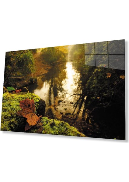 Ağaçlar Yaprak Manzara Cam Tablo 4mm Dayanıklı Temperli Cam Trees Leaf Landscape Glass Wall Art
