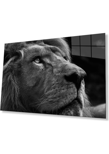 Aslan Cam Tablo 4mm Dayanıklı Temperli Cam