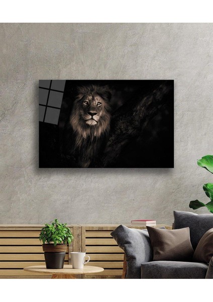 Aslan Cam Tablo 4mm Dayanıklı Temperli Cam fiyatları