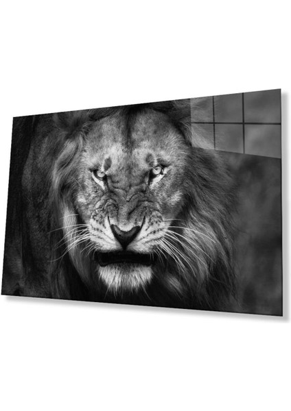 Aslan Cam Tablo 4mm Dayanıklı Temperli Cam