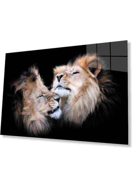 Aslan Cam Tablo 4mm Dayanıklı Temperli Cam