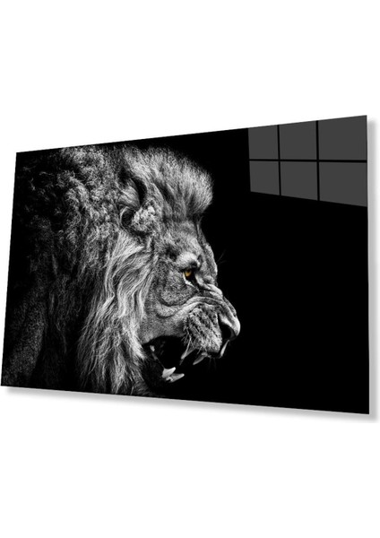 Aslan Cam Tablo 4mm Dayanıklı Temperli Cam