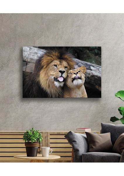 Aslan Cam Tablo 4mm Dayanıklı Temperli Cam fiyatları