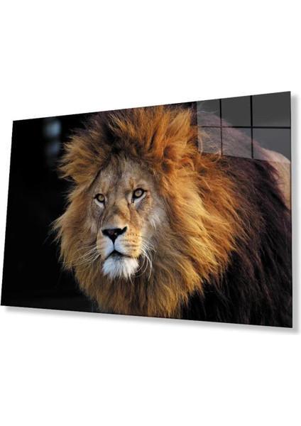 Aslan Cam Tablo 4mm Dayanıklı Temperli Cam