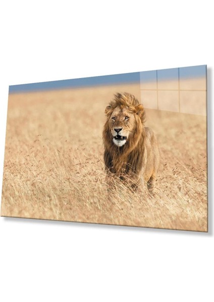 Aslan Cam Tablo 4mm Dayanıklı Temperli Cam