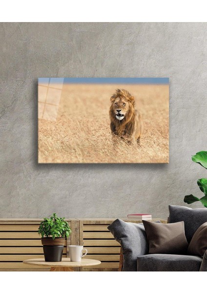 Aslan Cam Tablo 4mm Dayanıklı Temperli Cam fiyatları