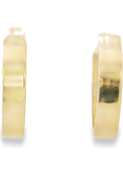 Taşsız Küpe 14 Ayar Altın 2.77 gr OA-C1TB01029312 modelleri