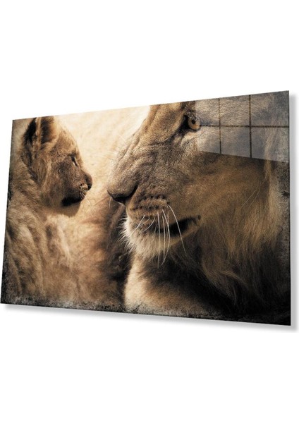 Aslan Cam Tablo 4mm Dayanıklı Temperli Cam