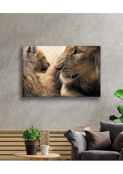 Aslan Cam Tablo 4mm Dayanıklı Temperli Cam fiyatları