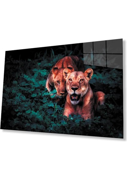 Aslan Cam Tablo 4mm Dayanıklı Temperli Cam