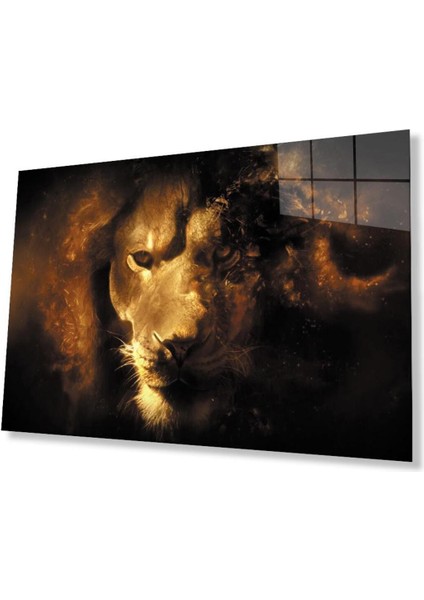 Aslan Cam Tablo 4mm Dayanıklı Temperli Cam
