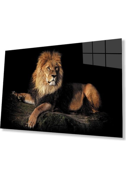 Aslan Cam Tablo 4mm Dayanıklı Temperli Cam