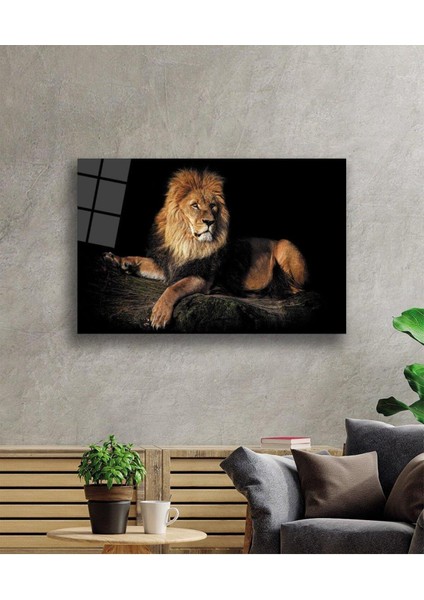 Aslan Cam Tablo 4mm Dayanıklı Temperli Cam fiyatları