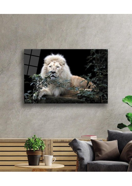 Aslan Cam Tablo 4mm Dayanıklı Temperli Cam fiyatları