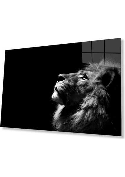 Aslan Cam Tablo 4mm Dayanıklı Temperli Cam