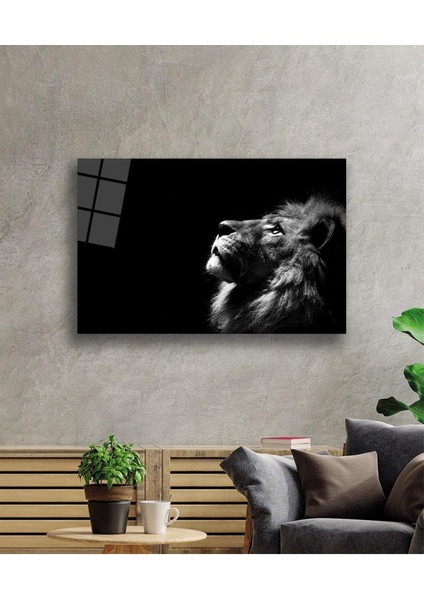 Aslan Cam Tablo 4mm Dayanıklı Temperli Cam fiyatları