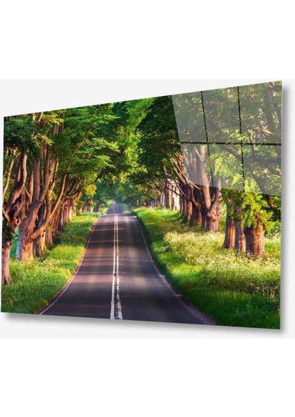 Doğa Cam Tablo 4mm Dayanıklı Temperli Cam