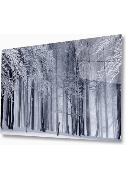 Doğa Cam Tablo 4mm Dayanıklı Temperli Cam