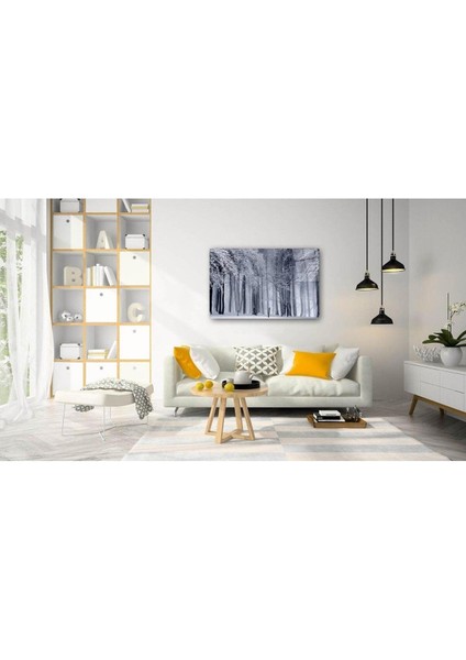 Doğa Cam Tablo 4mm Dayanıklı Temperli Cam fiyatları