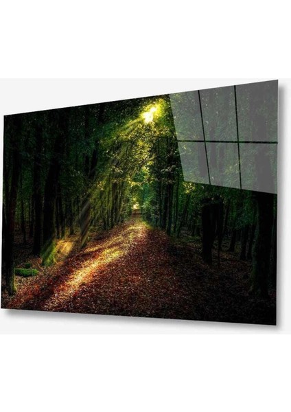 Doğa Cam Tablo 4mm Dayanıklı Temperli Cam