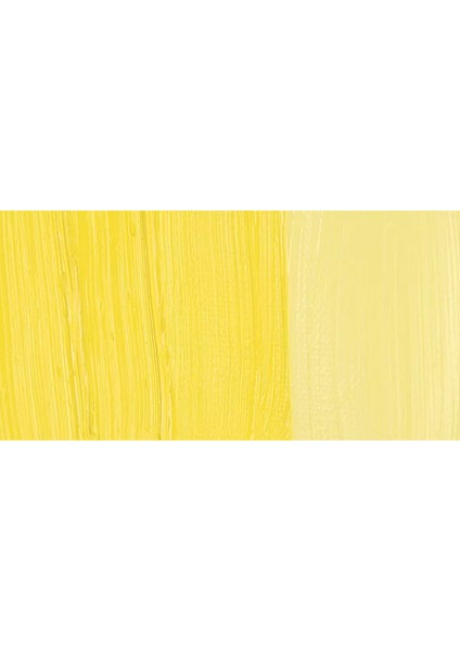 Classico 60ML Yağlı Boya 081 Cadmium Yellow Light