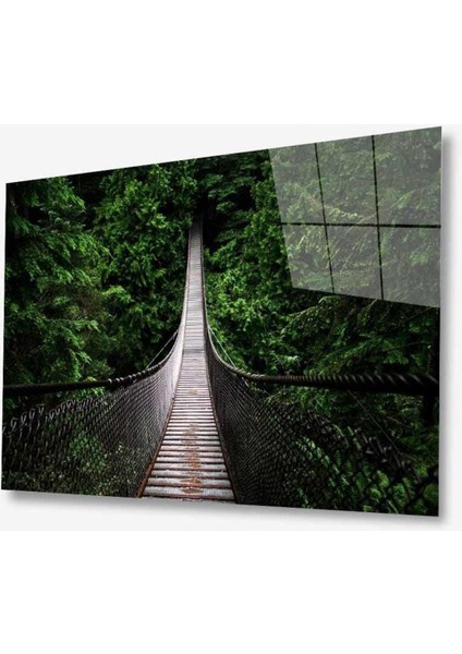 Doğa Cam Tablo 4mm Dayanıklı Temperli Cam