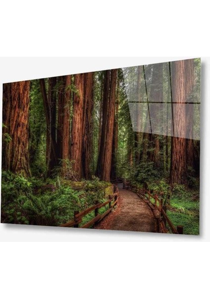 Doğa Cam Tablo 4mm Dayanıklı Temperli Cam