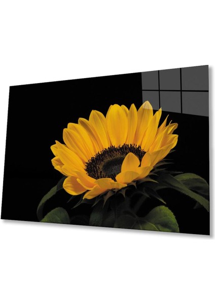 Ay Çiçeği Günebakan 4mm Dayanıklı Cam Tablo Temperli Cam , Sunflower Glass Wall Art