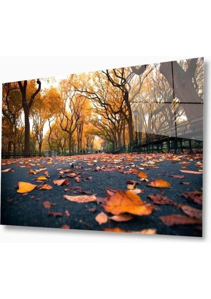 Doğa Cam Tablo 4mm Dayanıklı Temperli Cam