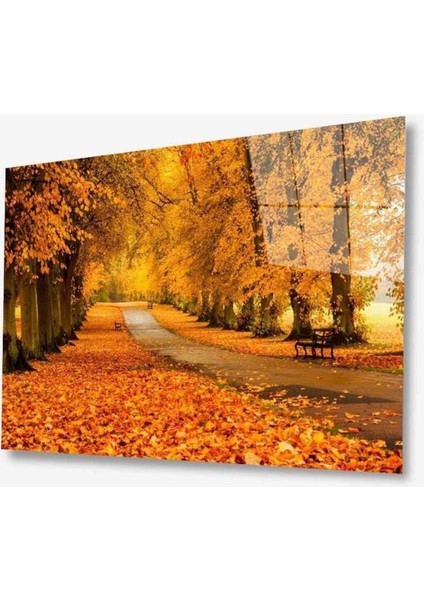 Doğa Cam Tablo 4mm Dayanıklı Temperli Cam