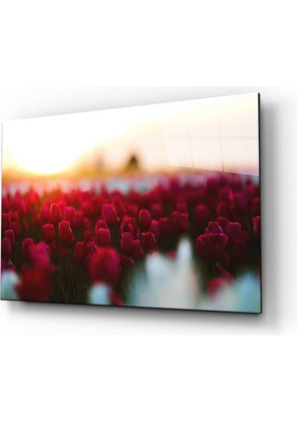 Doğa Cam Tablo 4mm Dayanıklı Temperli Cam