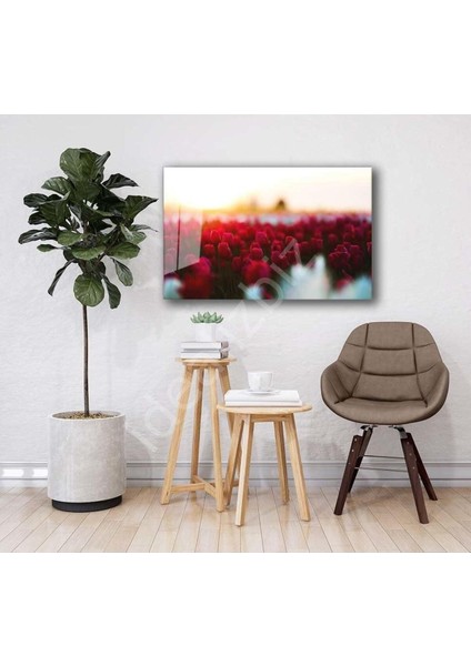 Doğa Cam Tablo 4mm Dayanıklı Temperli Cam fiyatları